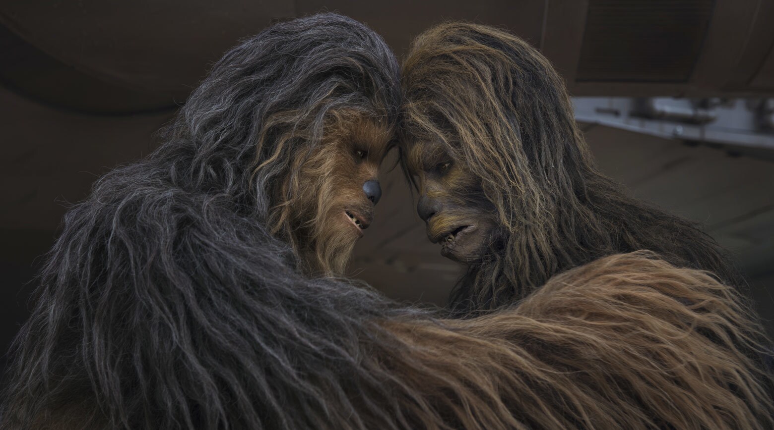 Wookiee — SWAPI species 3